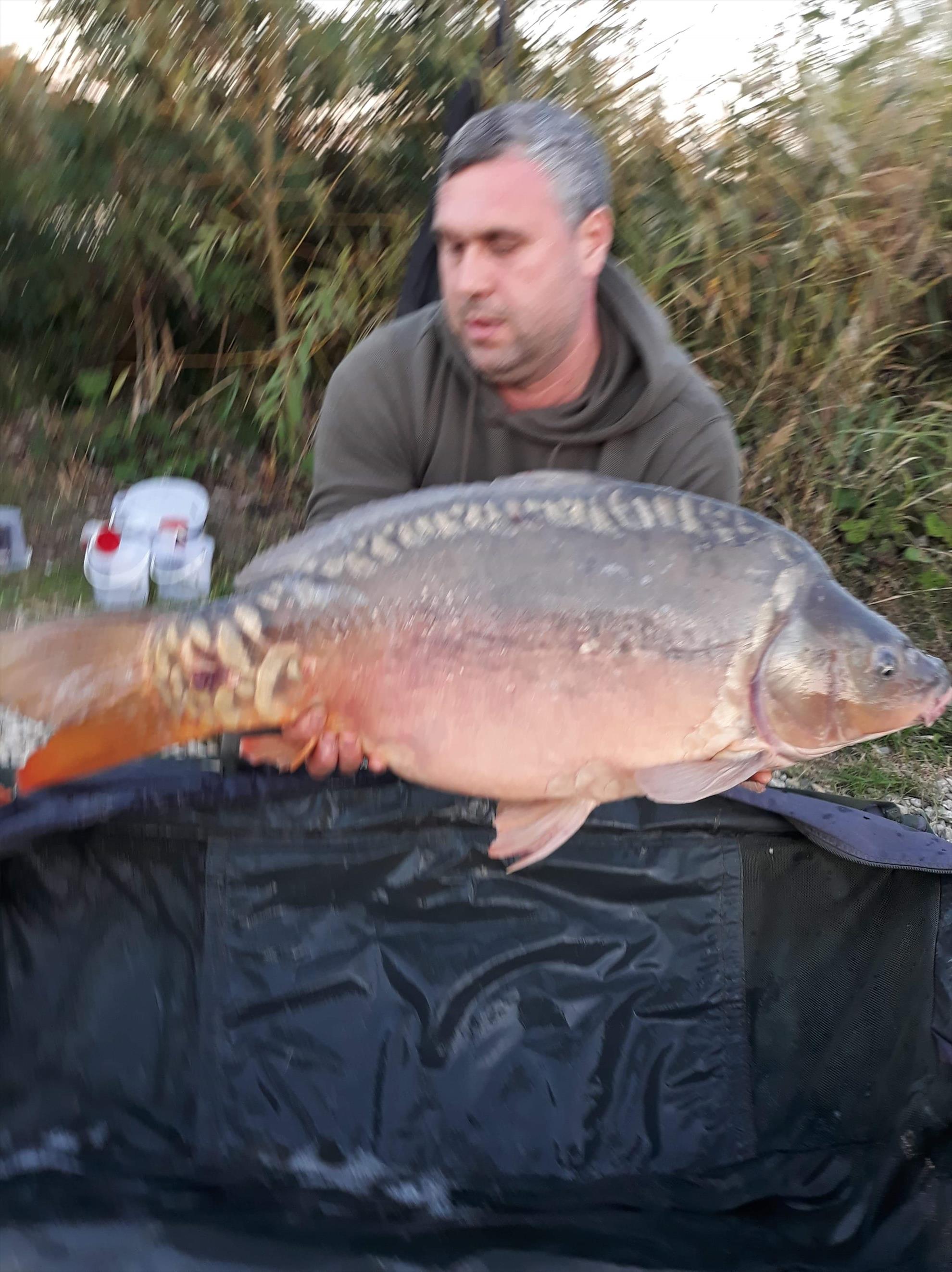 Varlaam 2018 oct - received318857612259475.jpeg